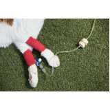 Tratamento com Ozonioterapia em Cães e Gatos