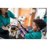 tratamento com ozonioterapia em cães Paraíso
