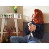 tratamento especializado de ozonioterapia para gatos Alto da Boa Vista