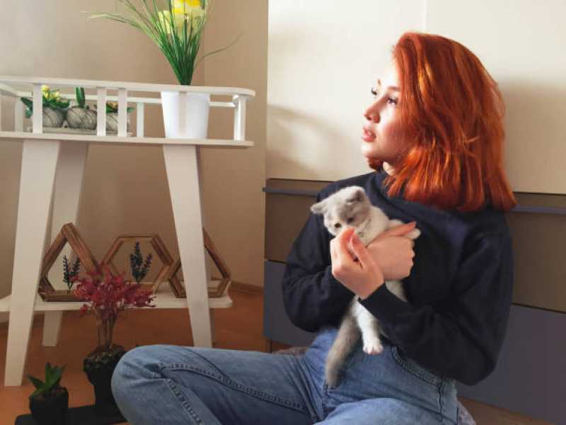 Tratamento Especializado de Ozonioterapia para Gatos Alto da Boa Vista - Ozonioterapia para Gatos