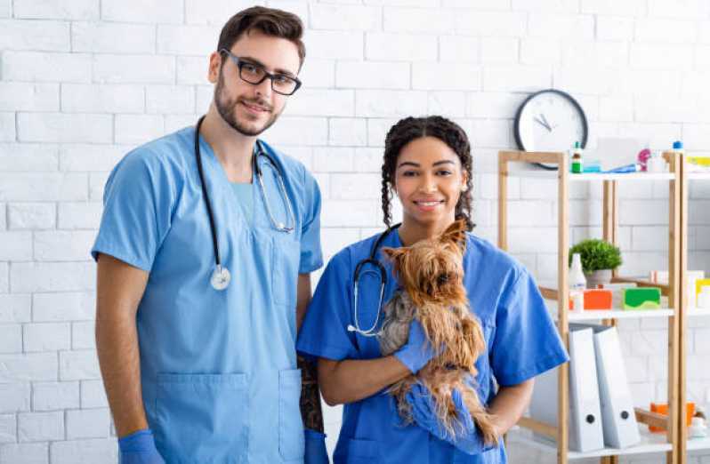 Valor de Consulta Veterinária para Cachorro Rudge Ramos - Consulta Veterinária para Gatos