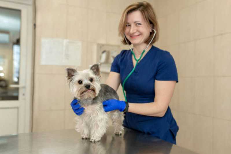 Valor de Consulta Veterinária Popular Interlagos - Consulta Veterinária para Cachorros