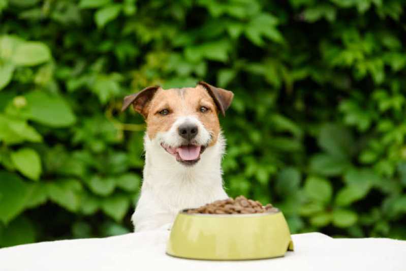 Valor de Ração de Cachorro Limão - Ração Natural para Cães